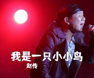 赵传《我是一只小小鸟简谱》