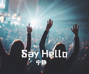 宁静《Say Hello吉他谱》(D调)