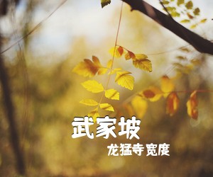 龙猛寺宽度《武家坡吉他谱》(G调)