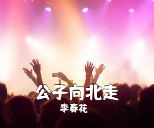 李春花《公子向北走吉他谱》(G调)