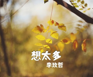 李玖哲《想太多吉他谱》(C调)