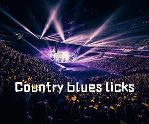 《Country blues licks吉他谱》
