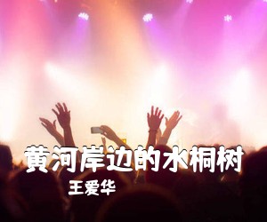 王爱华《黄河岸边的水桐树简谱》