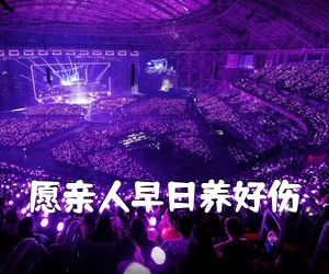 《愿亲人早日养好伤简谱》