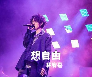林宥嘉《想自由吉他谱》(G调)