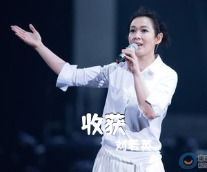 刘若英《收获吉他谱》(E调)