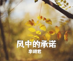 李翊君《风中的承诺简谱》
