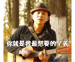 赵照《你就是我最想要的丫头吉他谱》(C调)