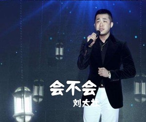 刘大壮《会不会吉他谱》(C调)