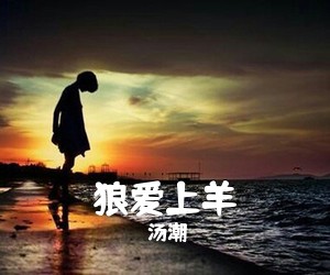 汤潮《狼爱上羊简谱》