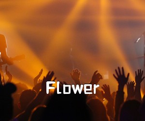 《Flower吉他谱》