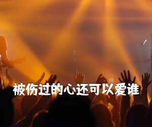 《被伤过的心还可以爱谁吉他谱》(E调)