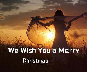Christmas《We Wish You a Merry吉他谱》