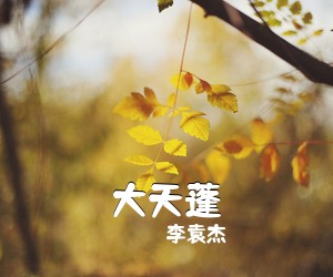 李袁杰《大天蓬吉他谱》(G调)