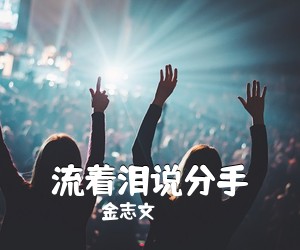 金志文《流着泪说分手吉他谱》(C调)