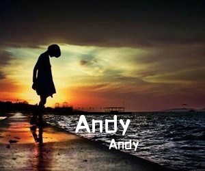Andy《Andy吉他谱》(C调)